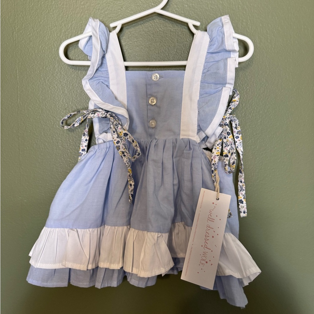 Well Dressed Wolf Kate Dress (Blue, White, Floral)